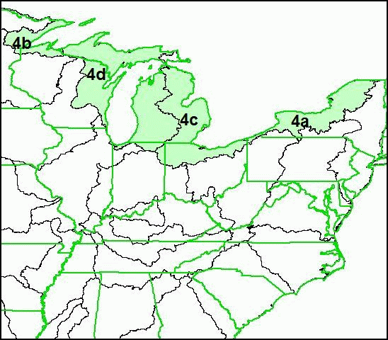 Great Lakes