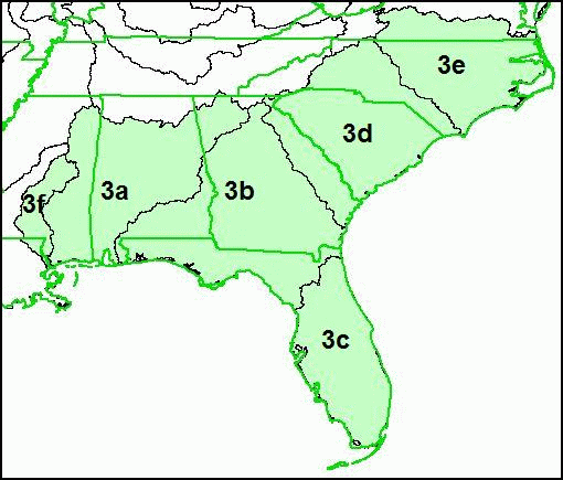 South Atlantic Gulf